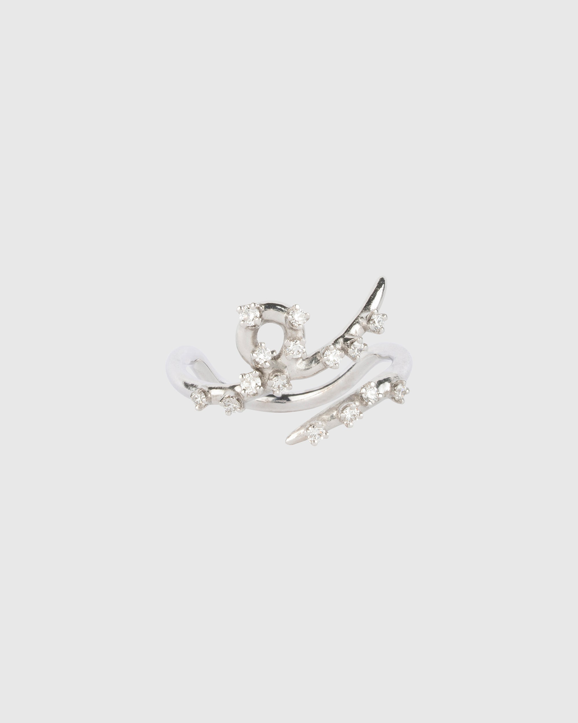 Ring 01